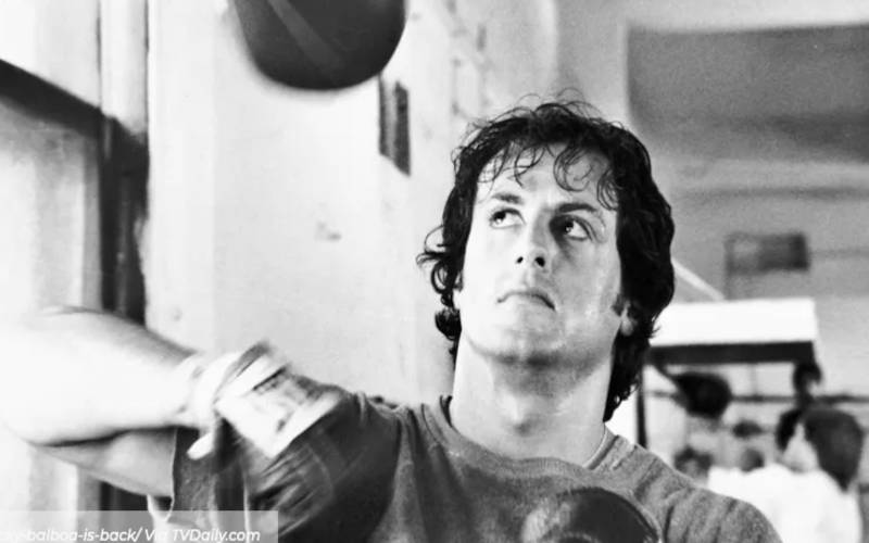 THE IMPORTANCE OF ROCKY